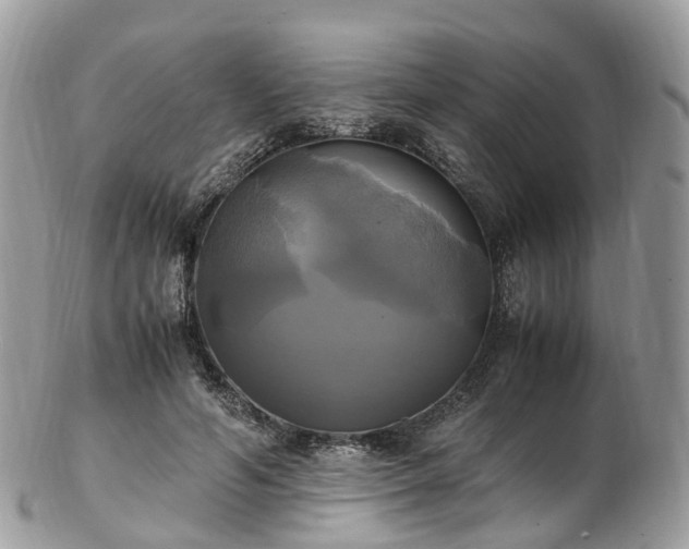 X0000102840594200808251157