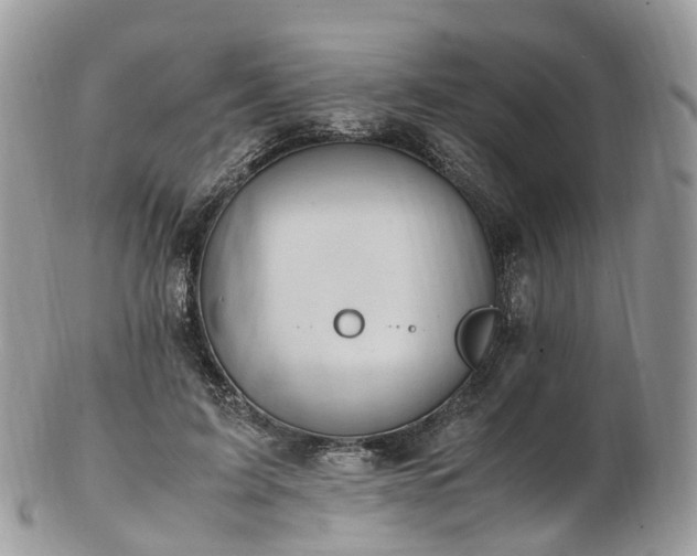 X0000102840595200808251157