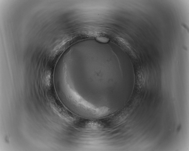 X0000102840596200808251157