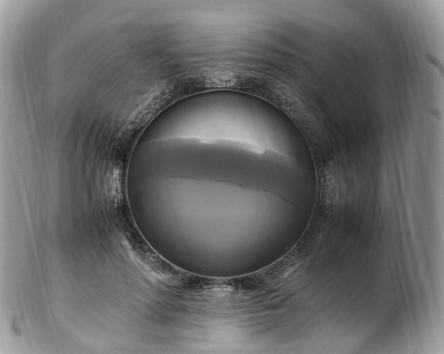 X0000102840598200808251157