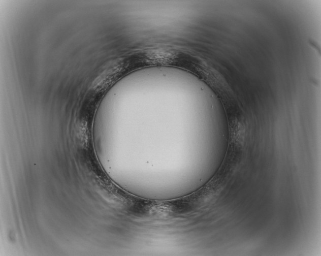 X0000102840599200808251157