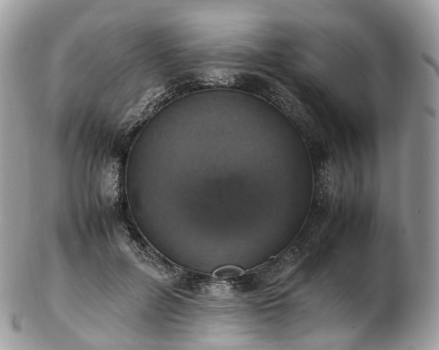 X0000102840600200808251157