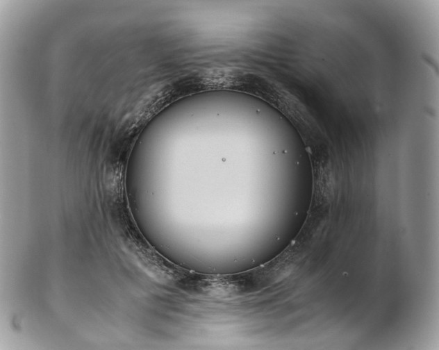 X0000102840601200808251157