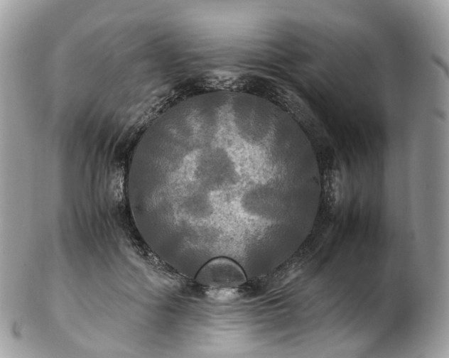 X0000102840602200808251157