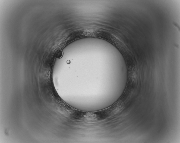 X0000102840603200808251157