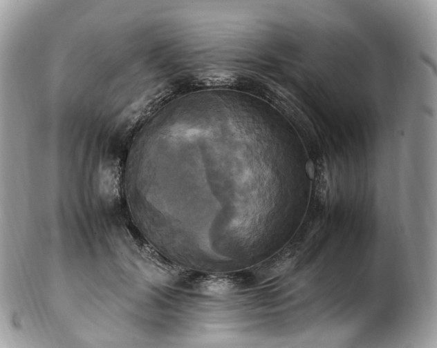 X0000102840604200808251157