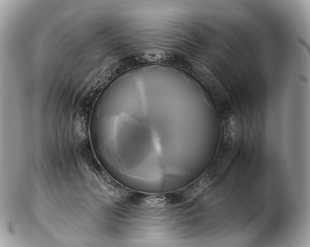 X0000102840606200808251157