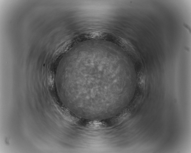 X0000102840607200808251157