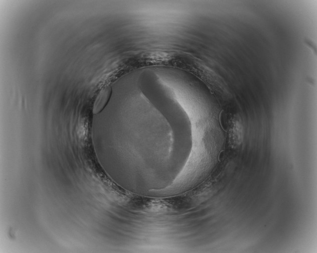 X0000102840608200808251157