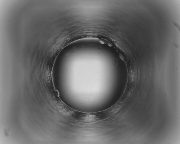 X0000102840609200808251157