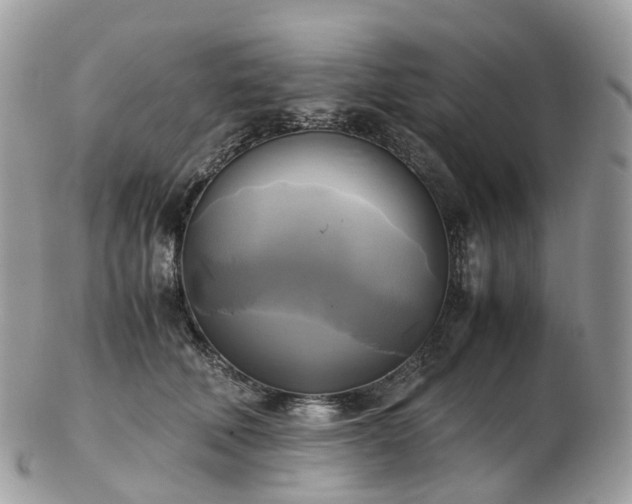 X0000102840610200808251157