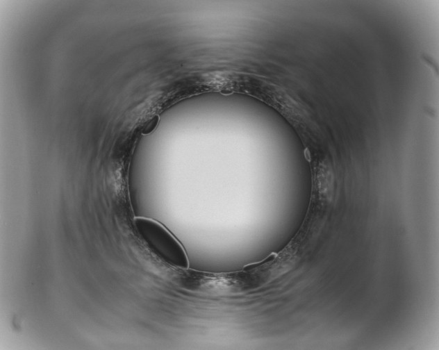 X0000102840611200808251157