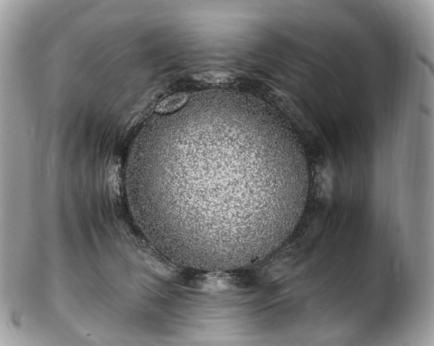 X0000102840612200808251157