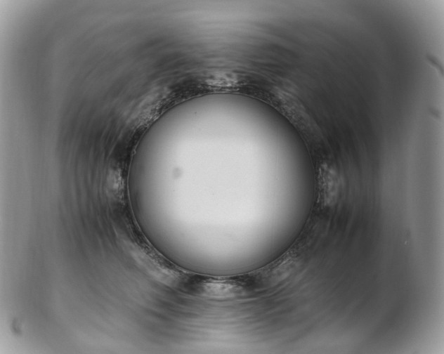 X0000102840614200808251157