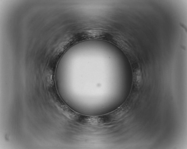 X0000102840615200808251157