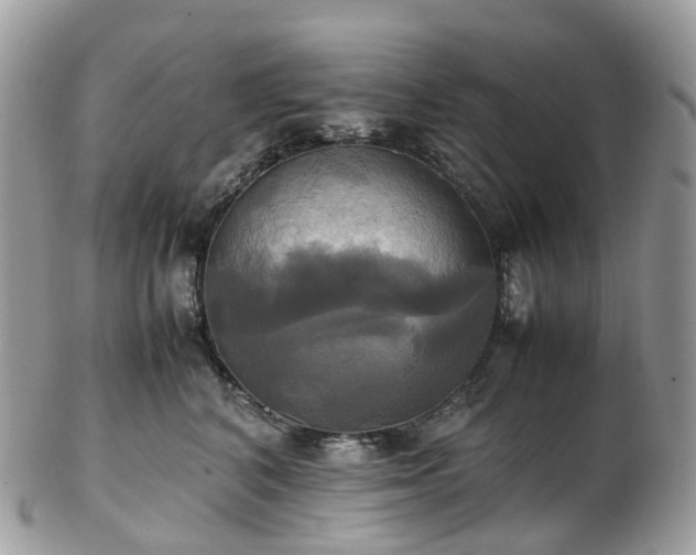 X0000102840616200808251157