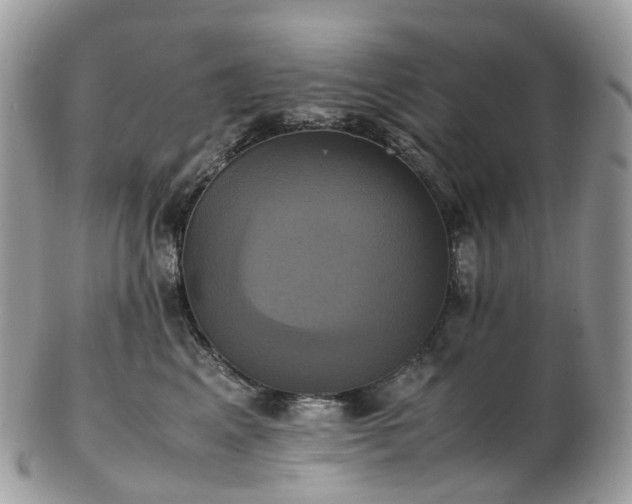 X0000102840617200808251157