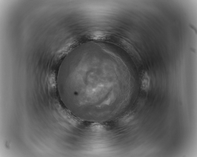 X0000102840620200808251157