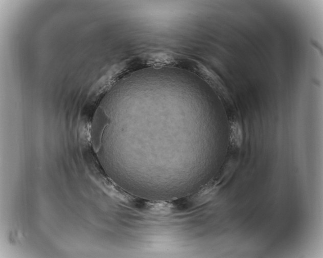 X0000102840621200808251157