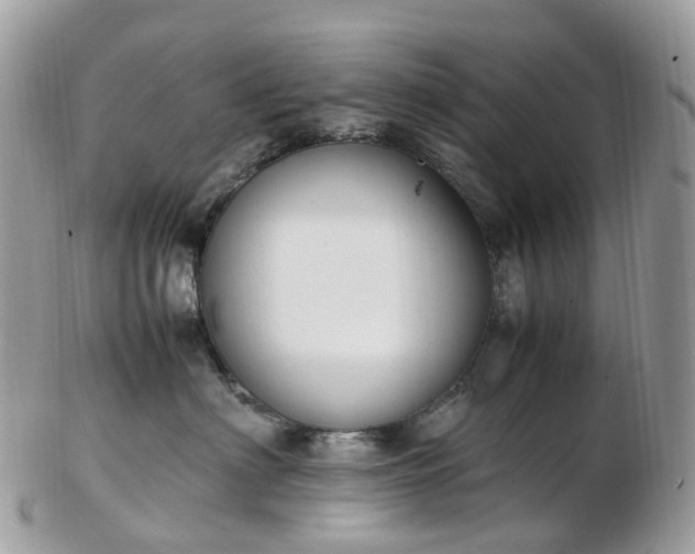 X0000102840622200808251157