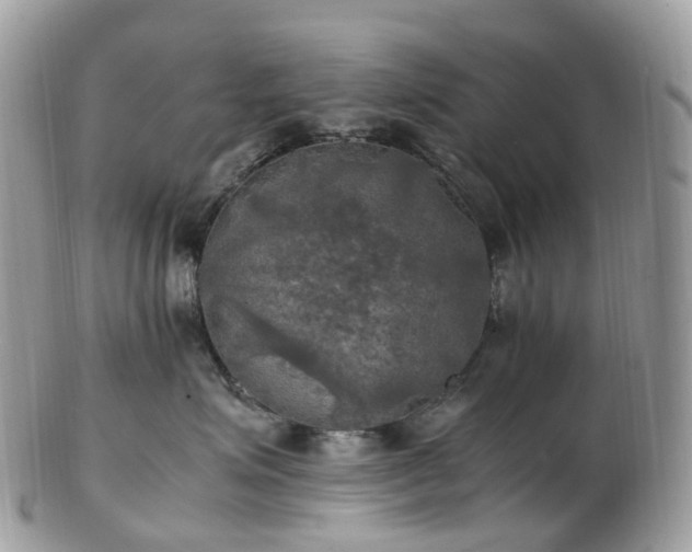 X0000102840623200808251157