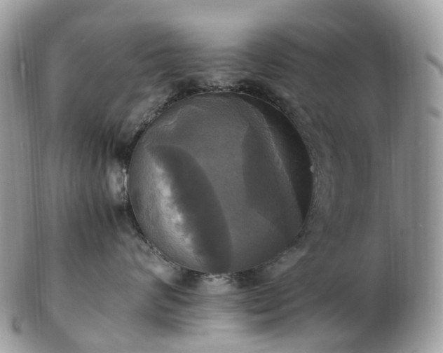 X0000102840624200808251157