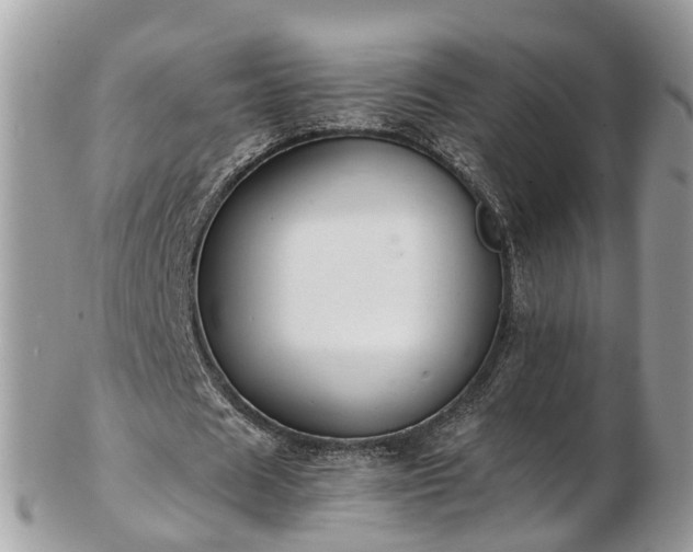 X0000102840625200808251156