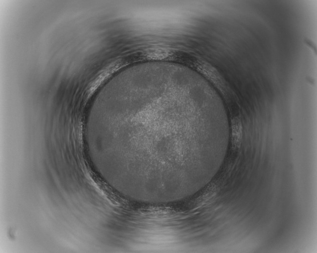 X0000102840626200808251156