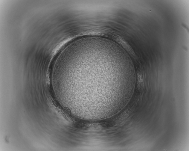 X0000102840628200808251156