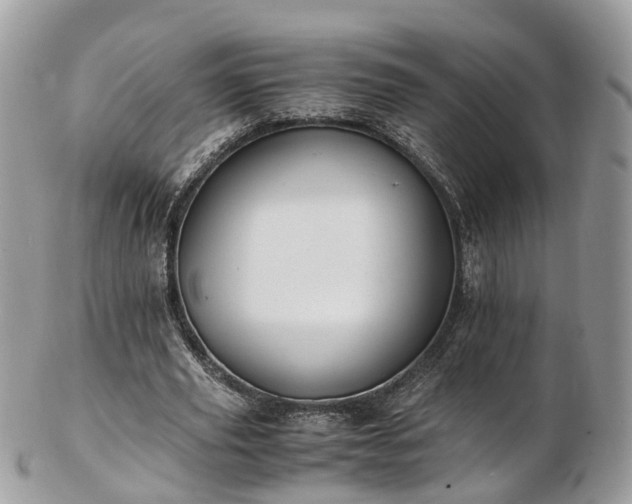 X0000102840629200808251156