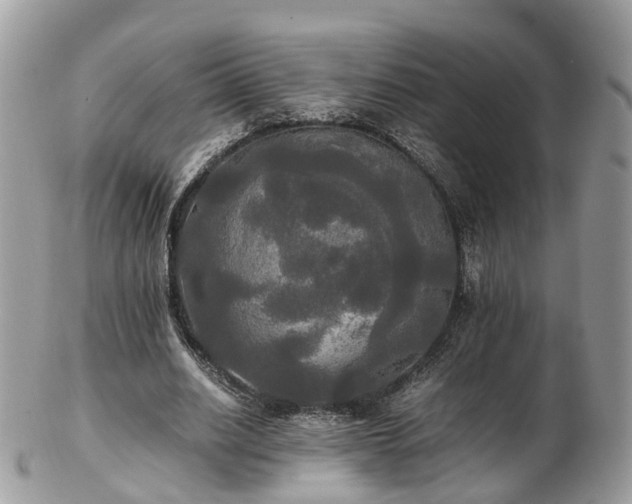 X0000102840630200808251156