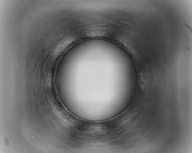 X0000102840631200808251156