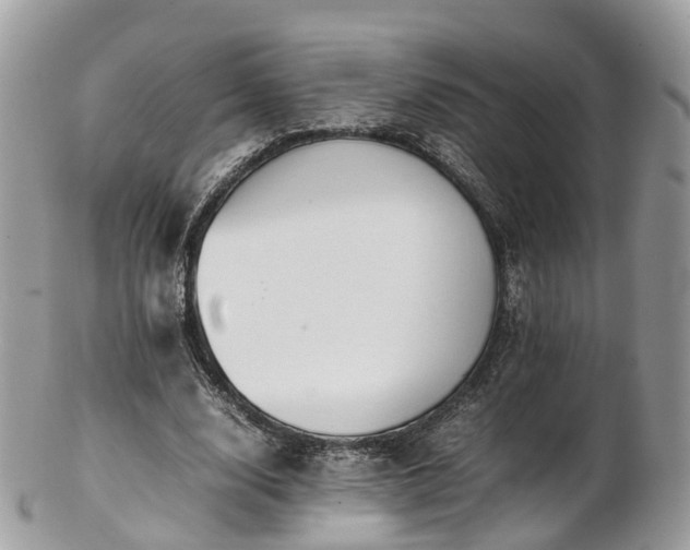 X0000102840632200808251156