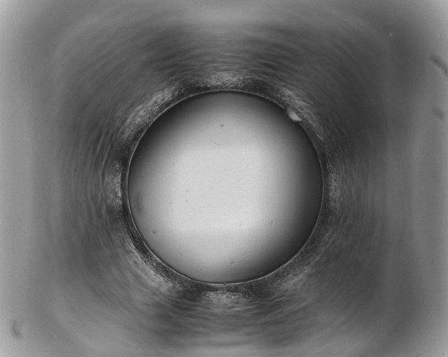 X0000102840633200808251156