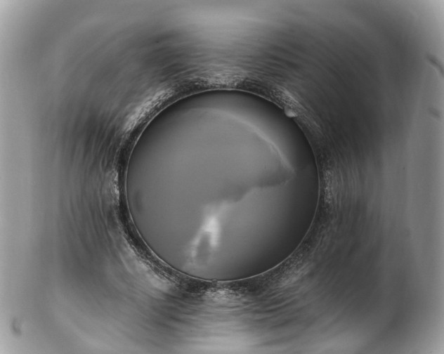 X0000102840634200808251156