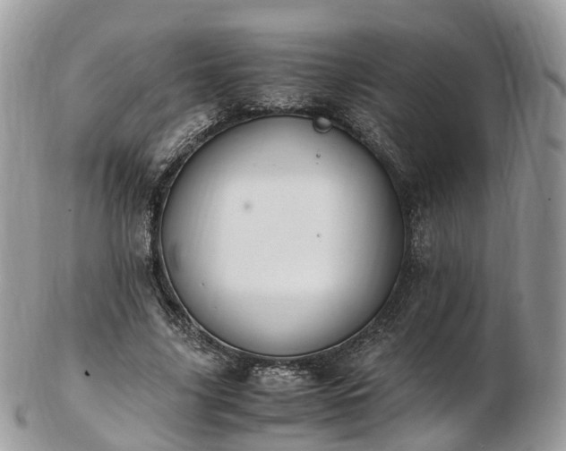 X0000102840635200808251156