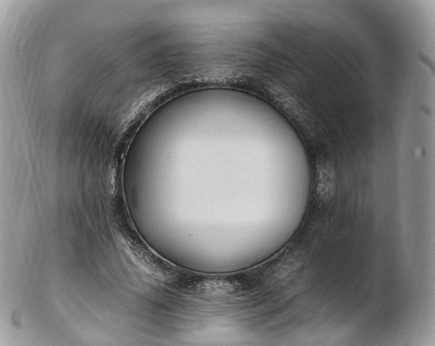 X0000102840636200808251156