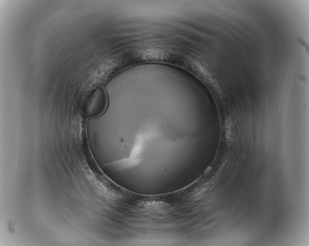 X0000102840637200808251157