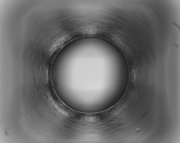 X0000102840638200808251157