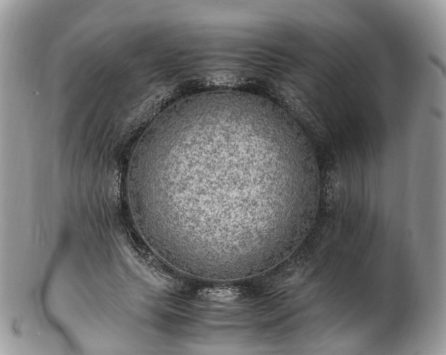 X0000102840639200808251157