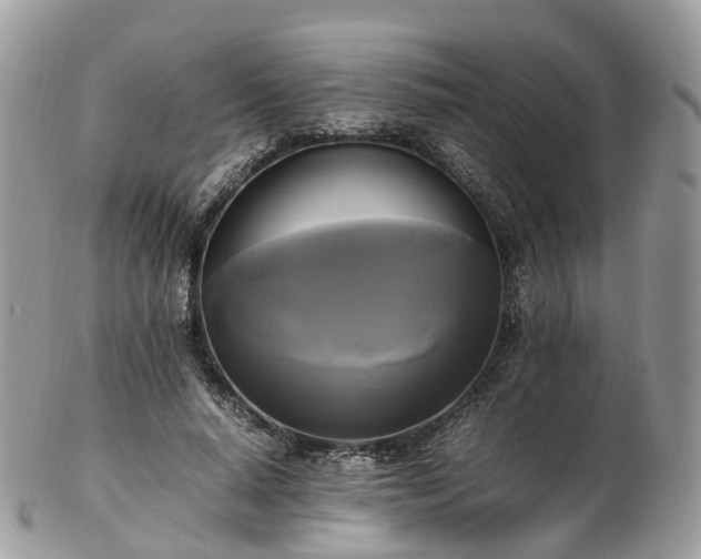 X0000102840640200808251157