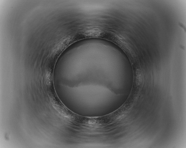 X0000102840641200808251157