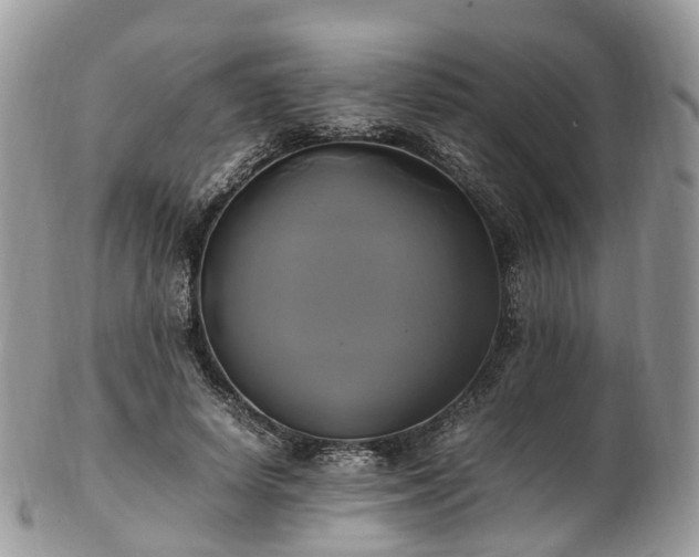 X0000102840642200808251157