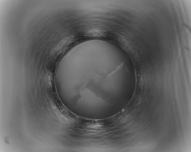 X0000102840643200808251157