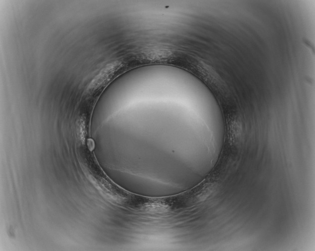 X0000102840644200808251157