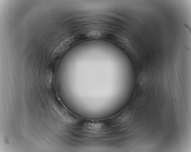 X0000102840645200808251157