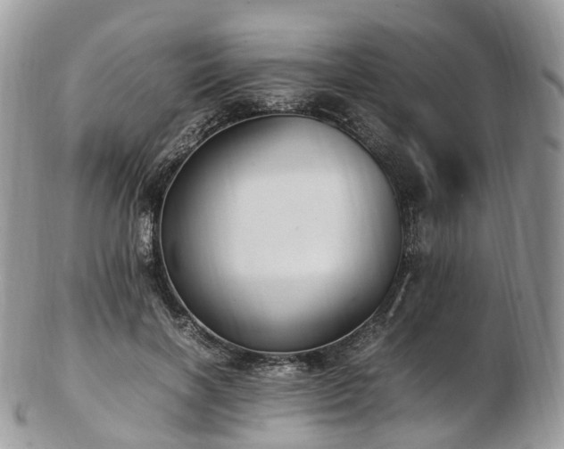 X0000102840646200808251157