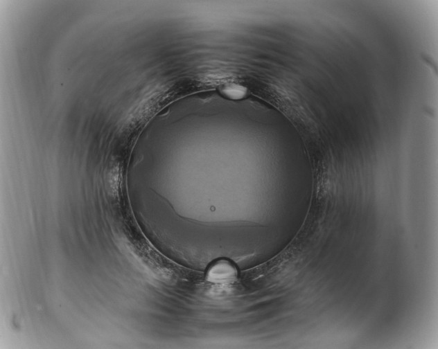 X0000102840647200808251157