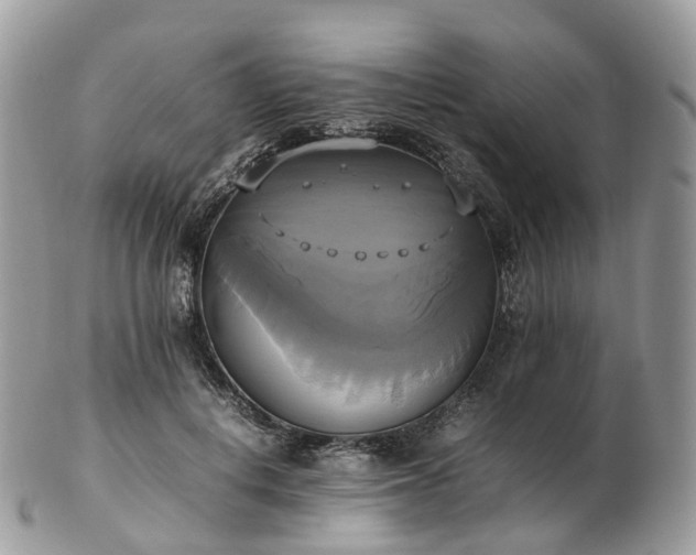 X0000102840648200808251157