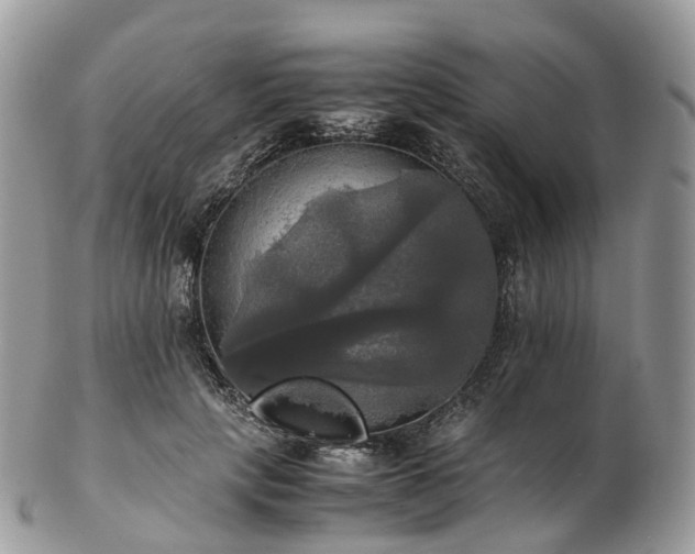 X0000102840649200808251157